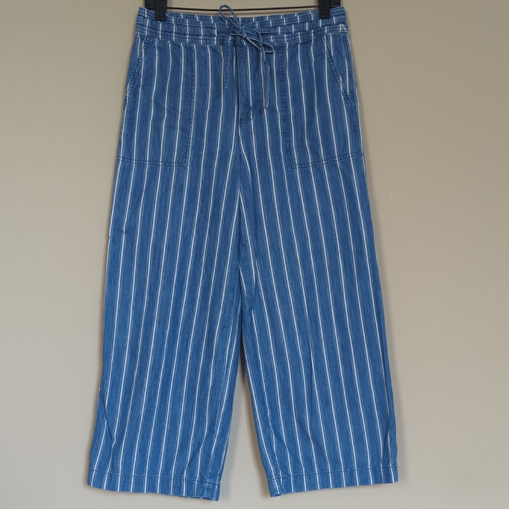 American Eagle Blue Striped Trousers
